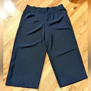 REITMANS plus size CROP pants size  20p all black very chic and classic